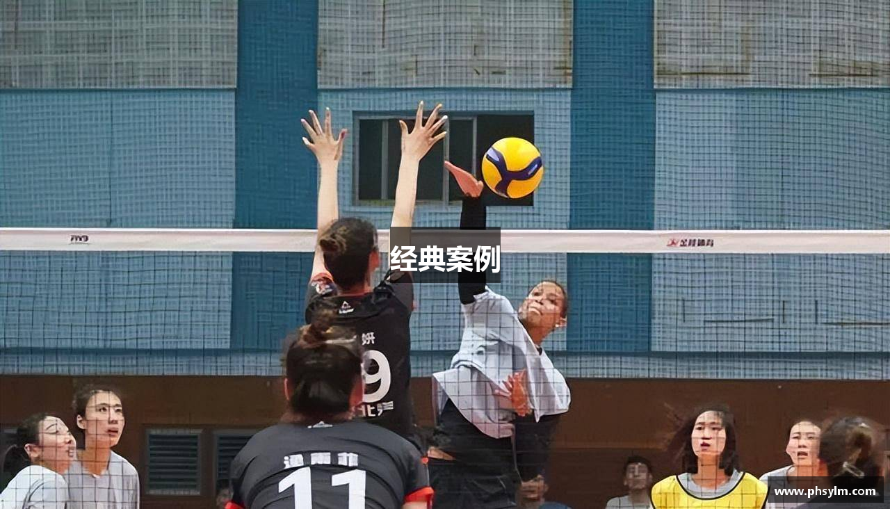 经典案例